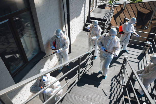 Best Mold Removal for HVAC Installations  in Ronceverte, WV