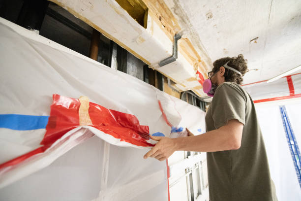 Best Mold Remediation for Healthcare Facilities  in Ronceverte, WV