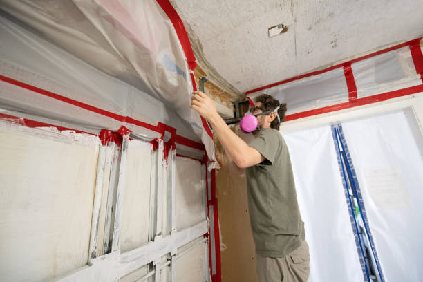 Best HVAC Mold Inspection and Cleaning  in Ronceverte, WV