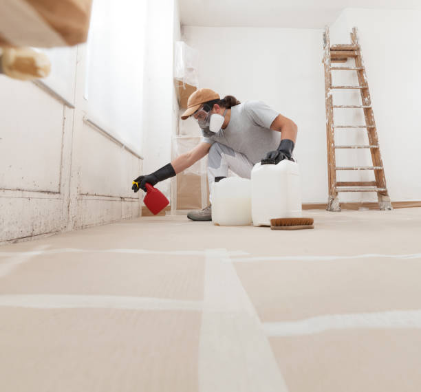 Best Mold-Related Health Consultation  in Ronceverte, WV