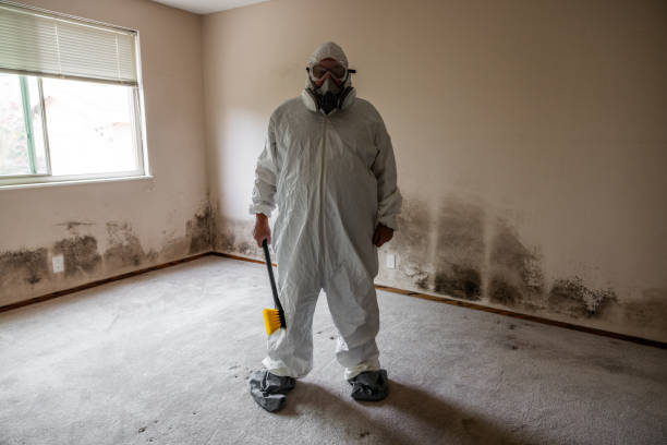 Best Emergency Mold Remediation  in Ronceverte, WV