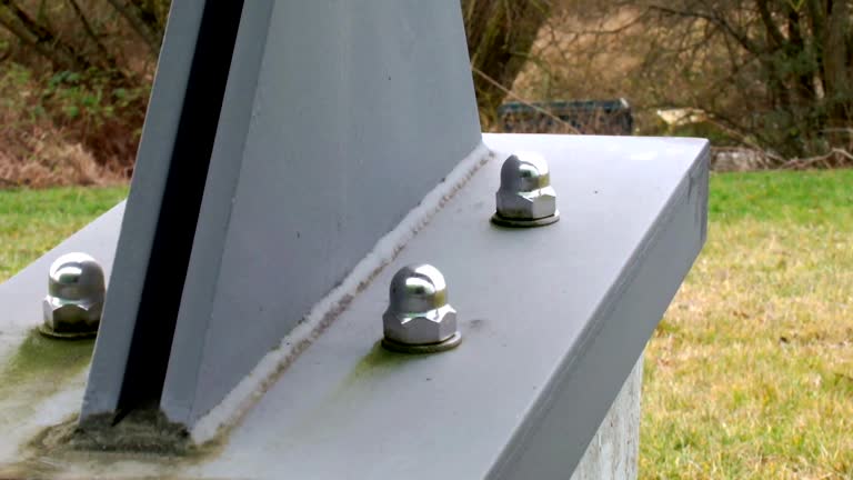Best Attic Mold Removal  in Ronceverte, WV